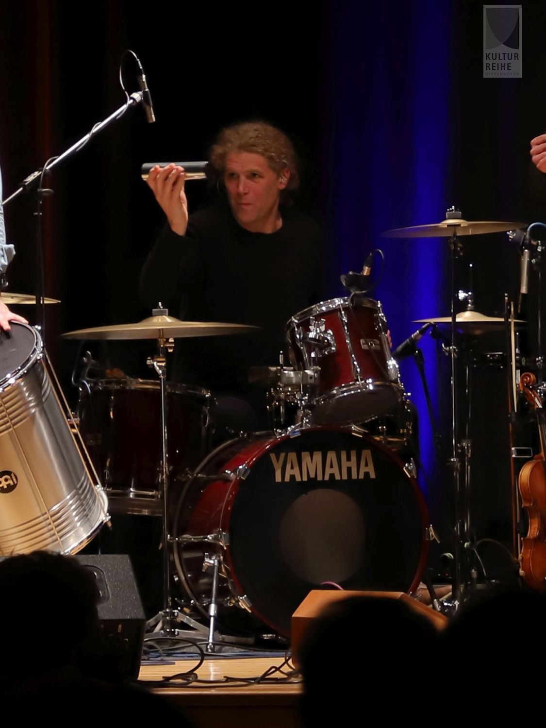 Simon & Garfunkel Revival Band