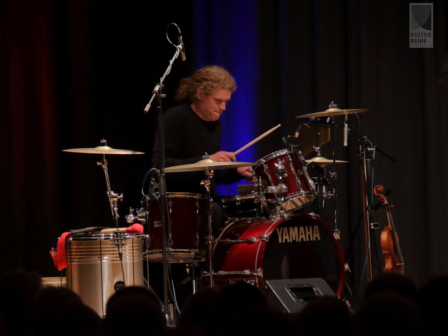 Simon & Garfunkel Revival Band